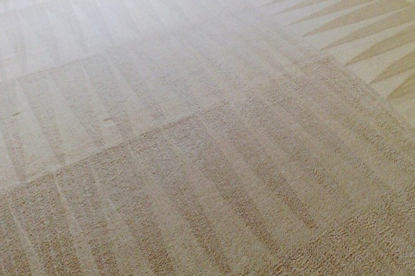 Steam Cleaning Services