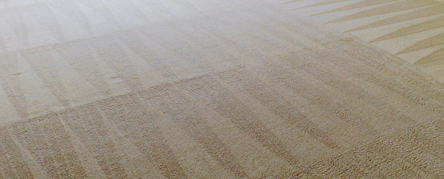 Commercial Carpet Steam Cleaning Services